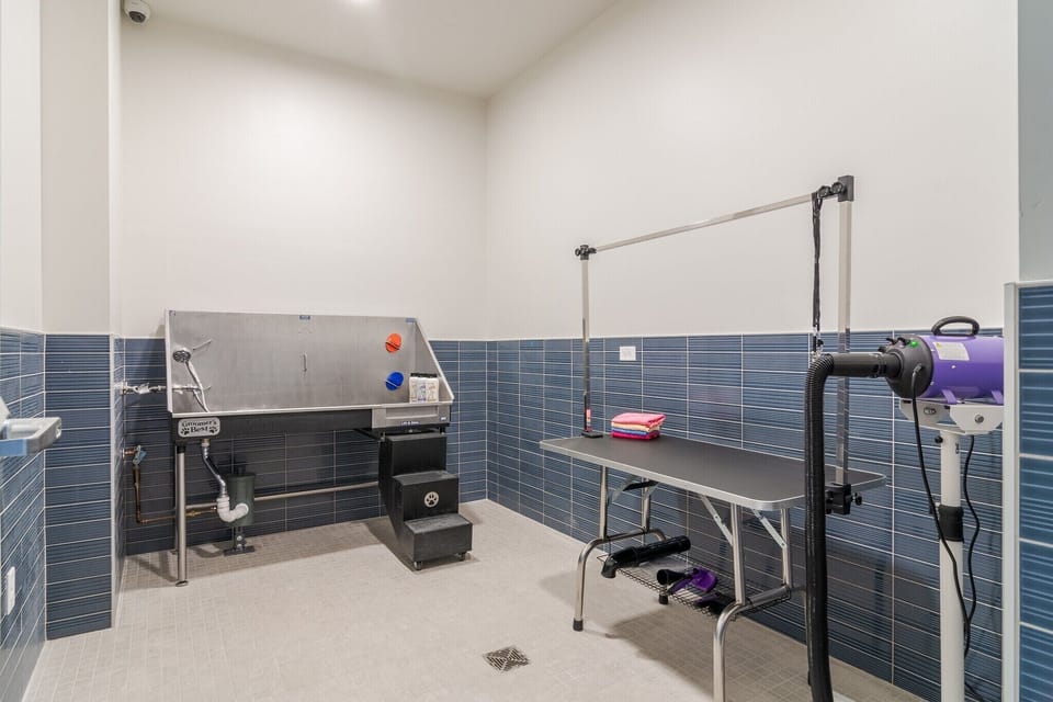 Pet station and washing area in the building.