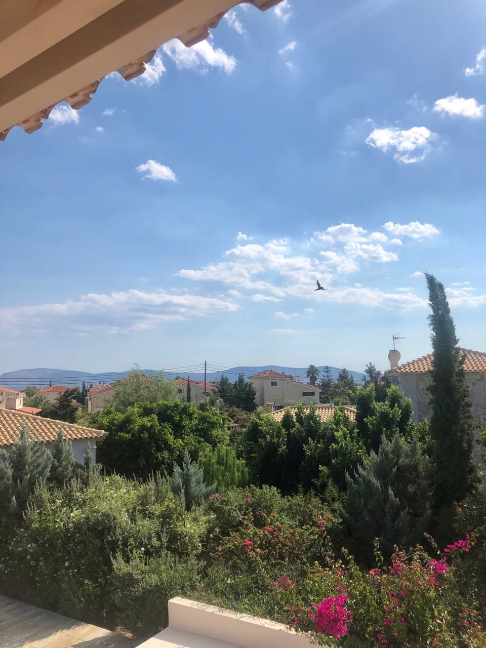 View from property