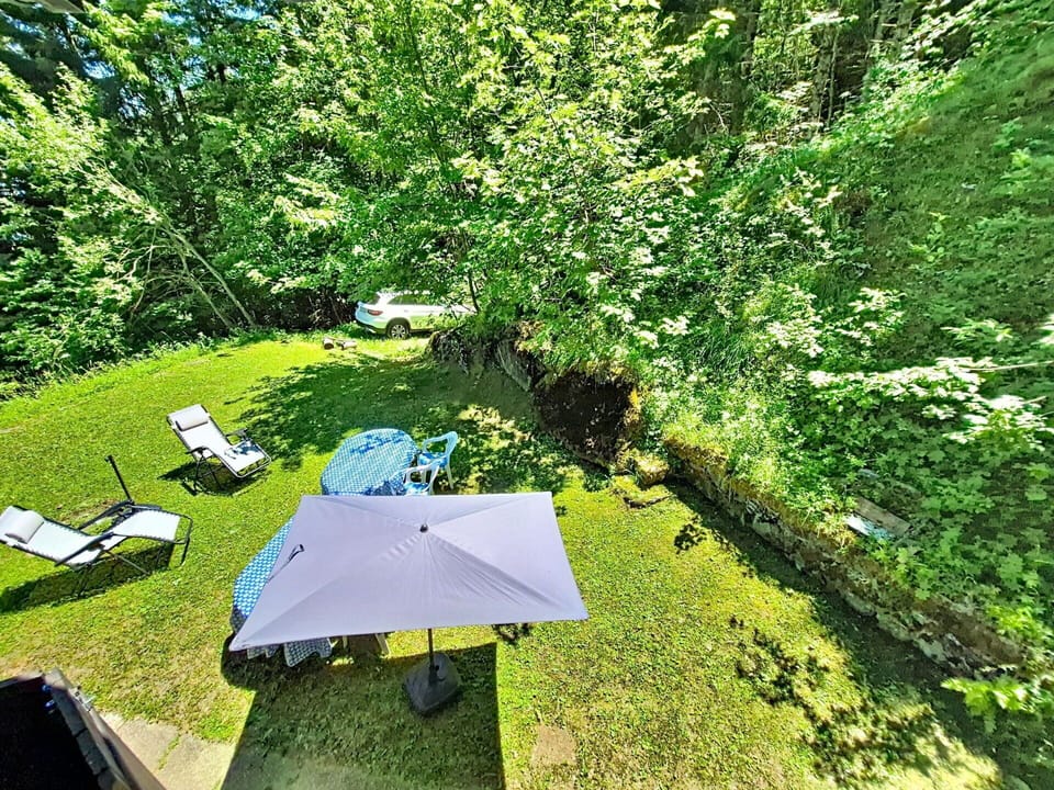 Vegetation, Shrub, Garden, Groundcover, Lawn, Landscaping, Yard, Backyard, Shade, Outdoor Furniture