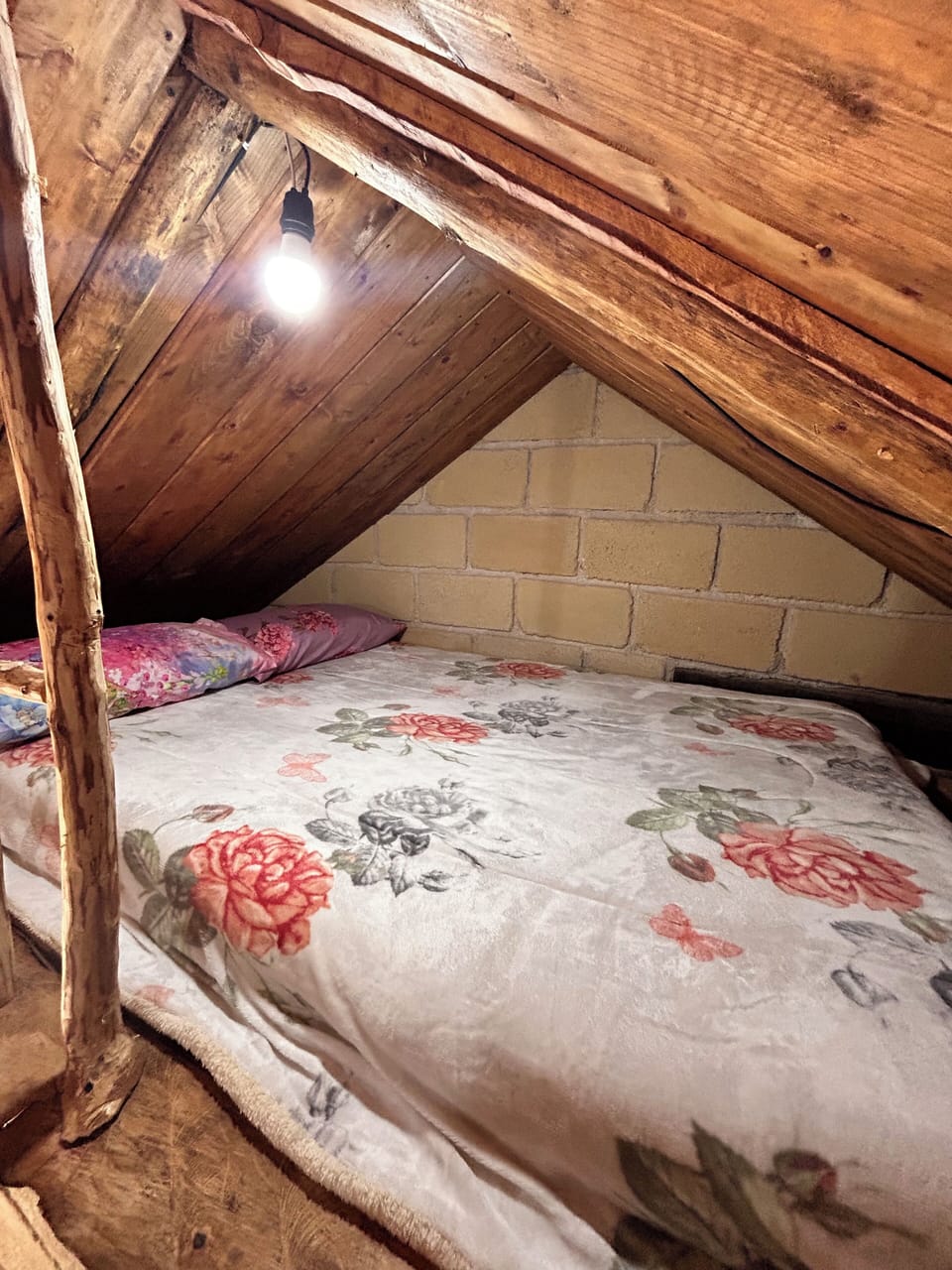 Family Room, Patio, Mountain View | WiFi (free), bed sheets