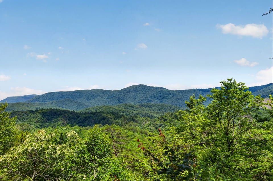 Panoramic mountain views and peaceful forest scenery