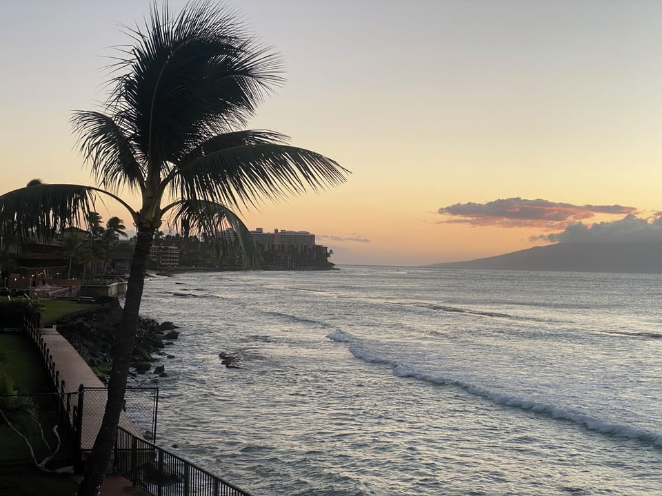 Sunset ocean view from the complex sun deck,  offshore reefs and palm trees