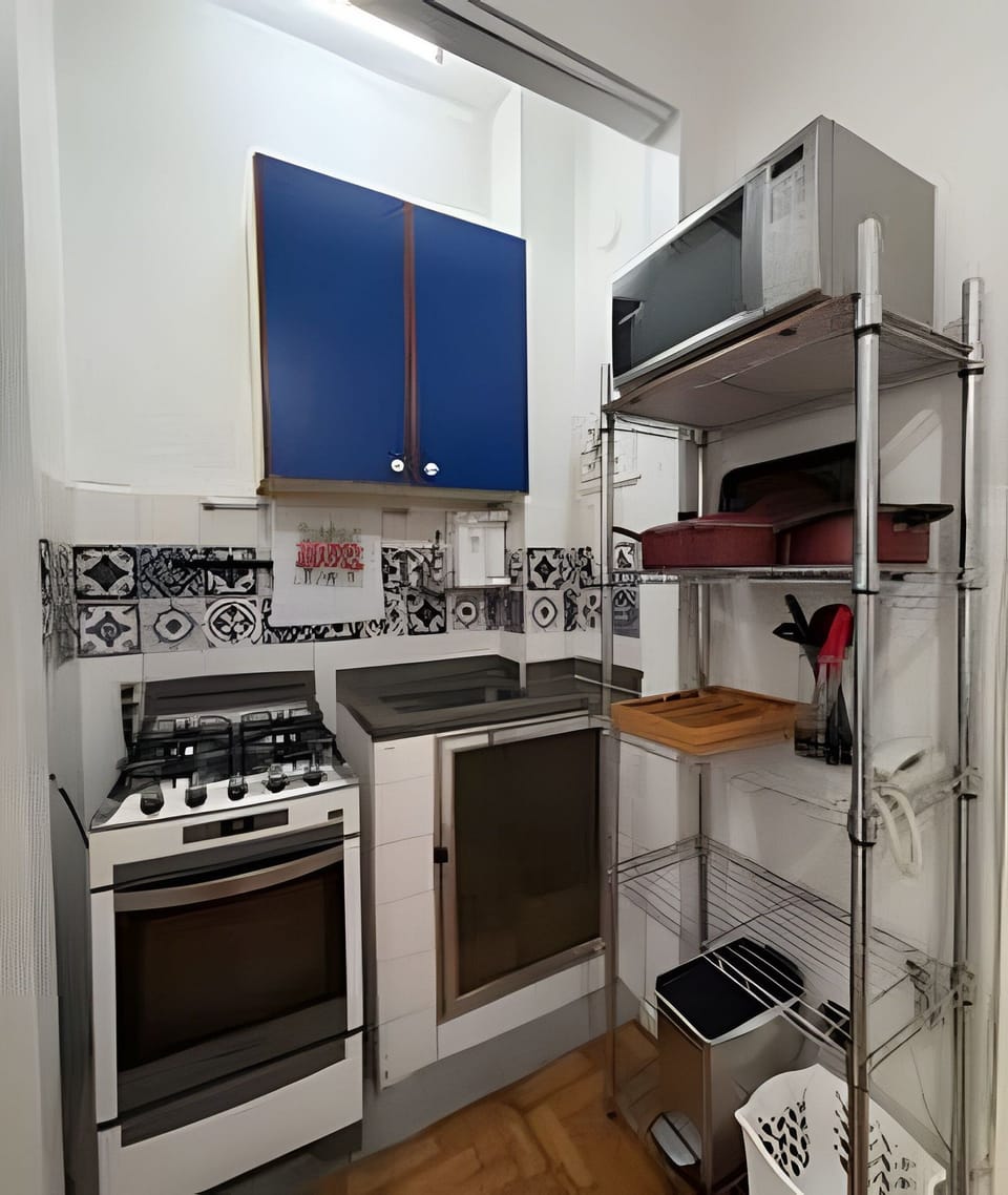 Basic Apartment | Private kitchen | Coffee/tea maker, fridge, microwave, oven