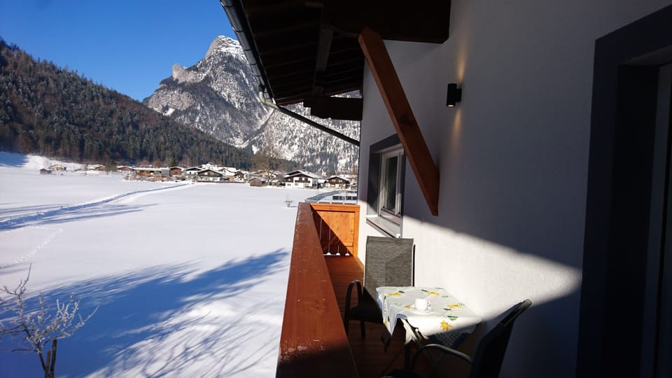 Panoramic Apartment, 1 Bedroom, Kitchen, Mountain View (Balcony) | Terrace/patio