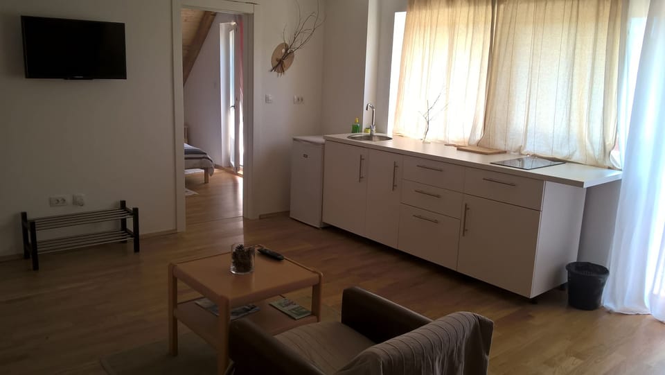 Suite, Kitchenette, Mountain View | Private kitchenette | Electric kettle