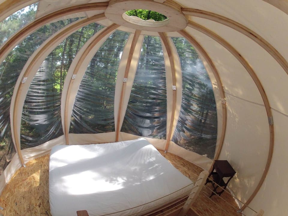 Bulle Wigwam perchée