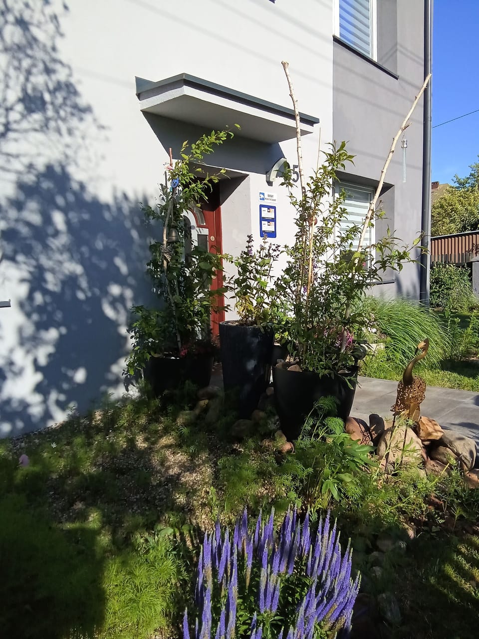 Apartment, Smoking, Garden View | Garden