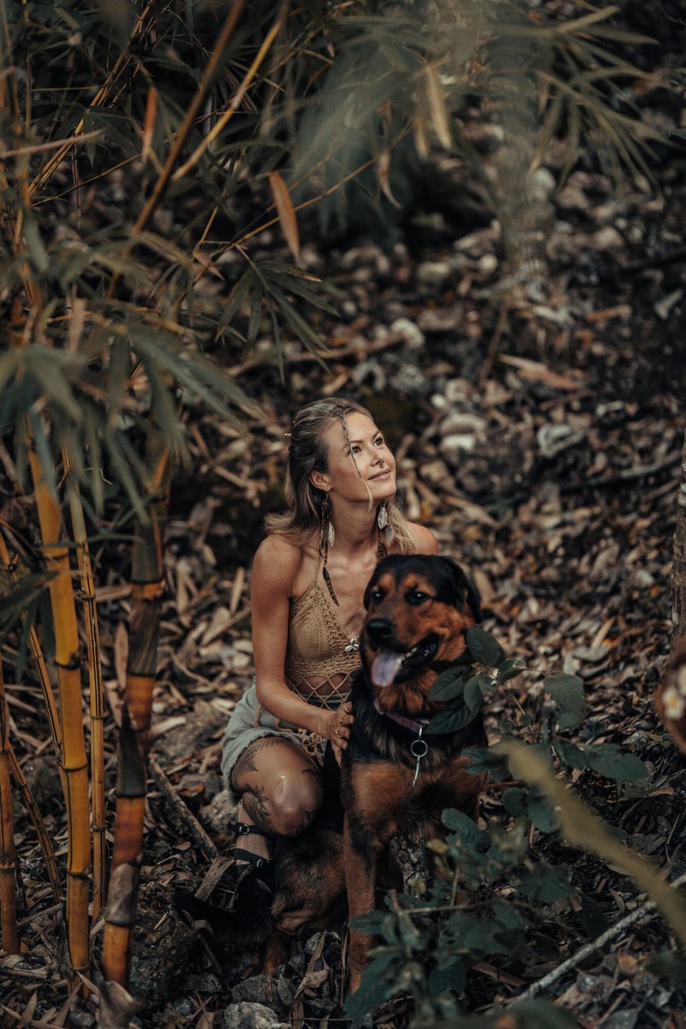 Pet-friendly