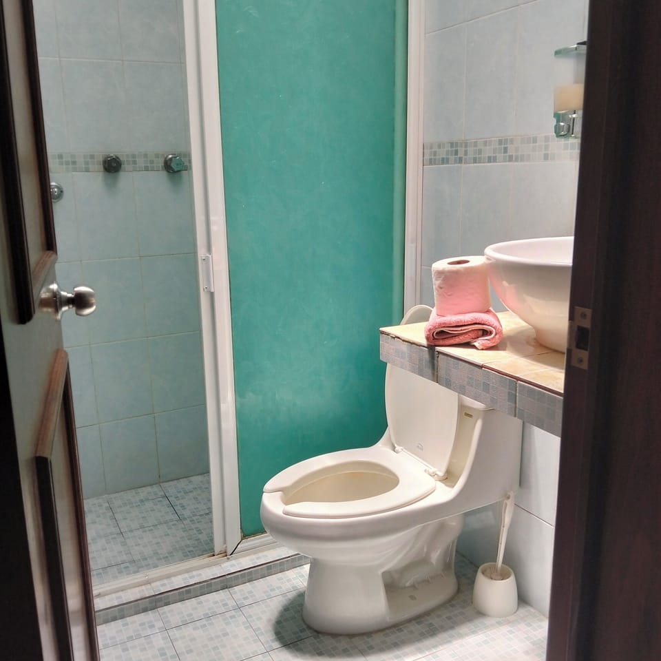 Shower, towels, soap, shampoo