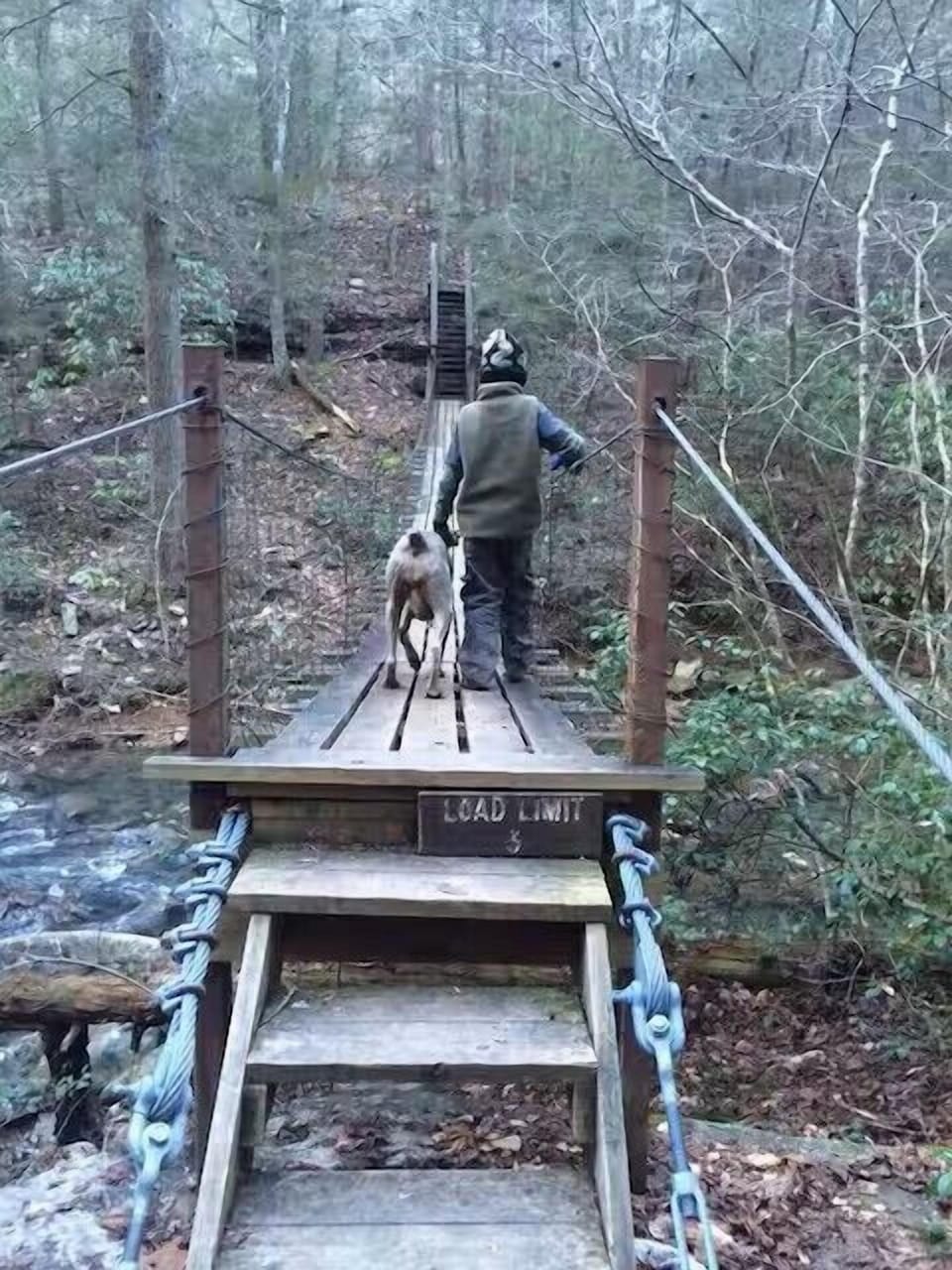 Lace up your hiking boots and explore the scenic trails nearby. From peaceful nature walks to outdoor adventures, there are plenty of opportunities to enjoy the beauty of the surrounding area.
