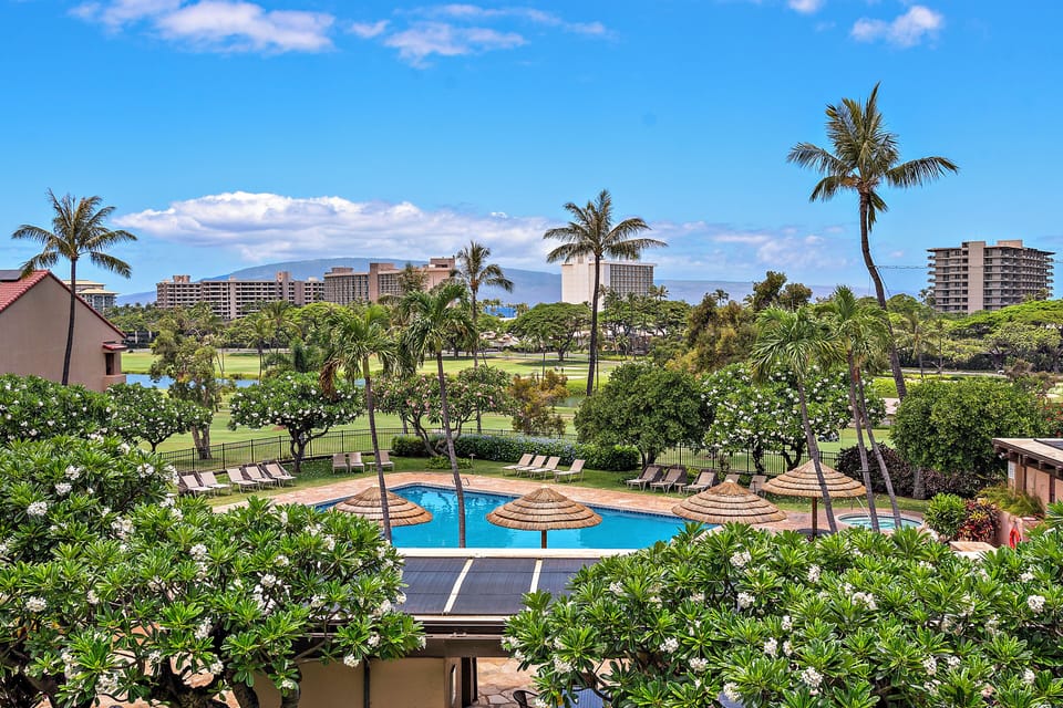 Tropical resort setting with pool, lush gardens, and green space beyond—a sunny Hawaiian retreat framed by swaying palms and distant high-rises.