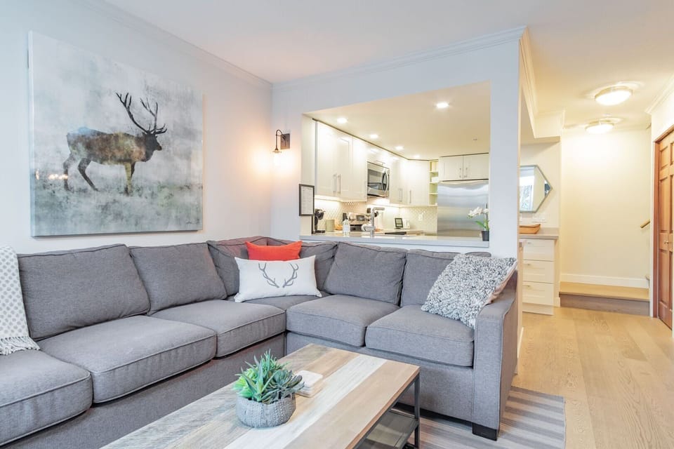 Living area: Pull-out sofa