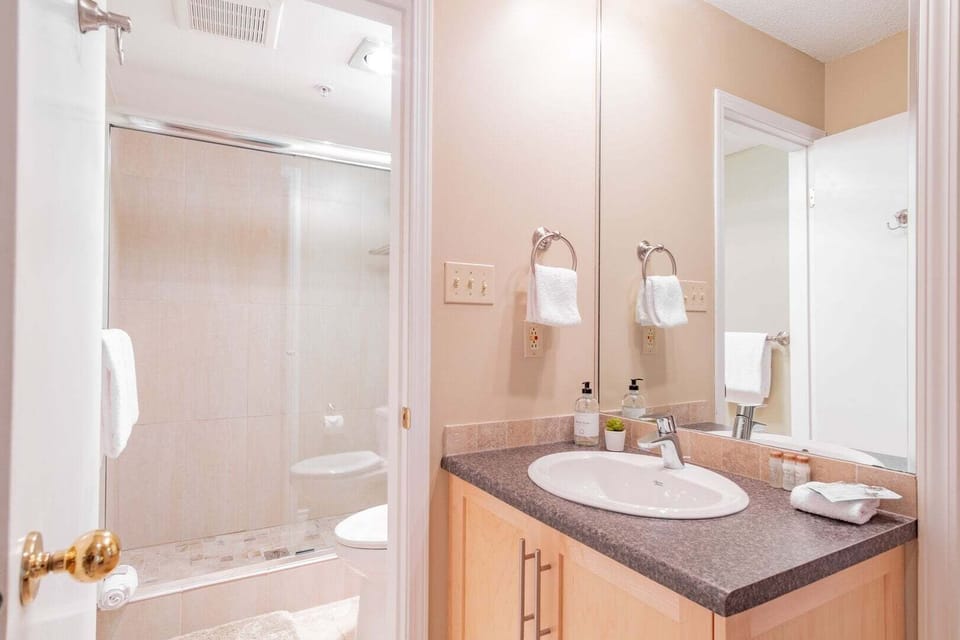 Guest bathroom: Walk-in shower
