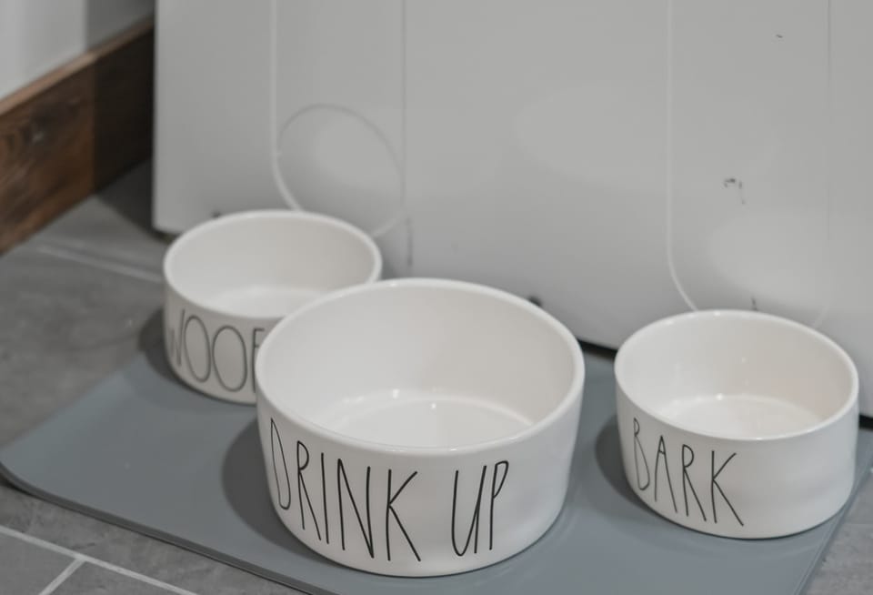 Pet-friendly touches to make them feel right at home