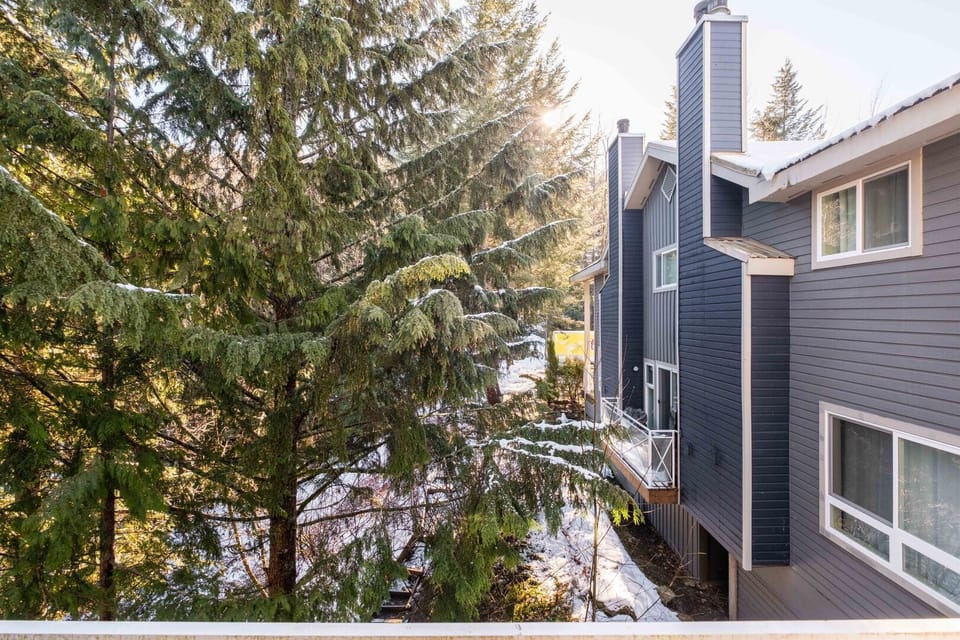 Property #25: Forested garden view