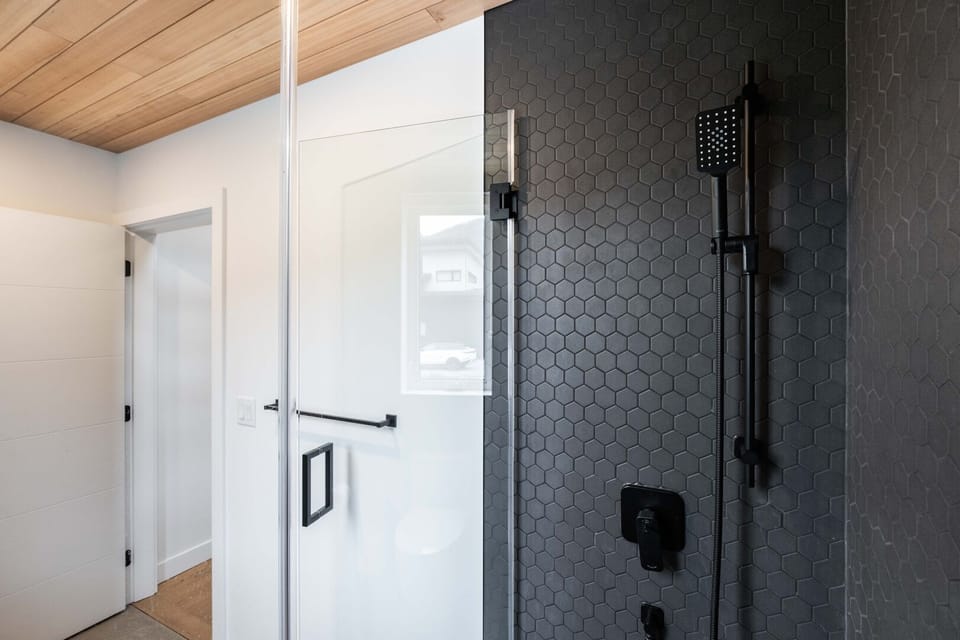 Guest bathroom: Walk-in shower