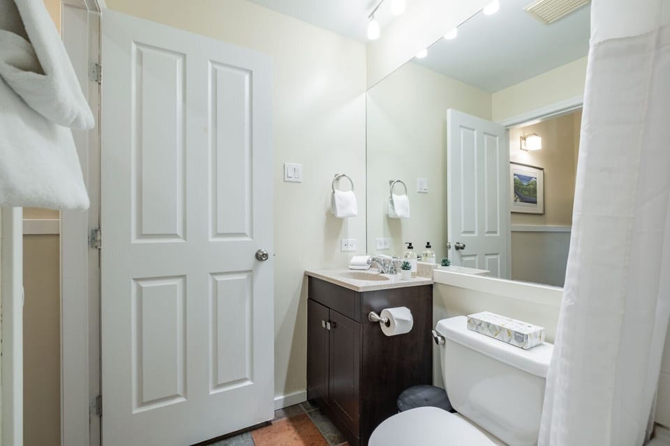 Guest bathroom: Tub/shower combo