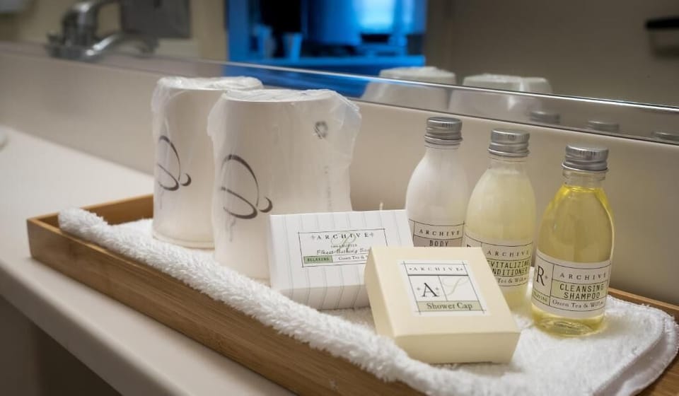 Bathtub, free toiletries, hair dryer, slippers