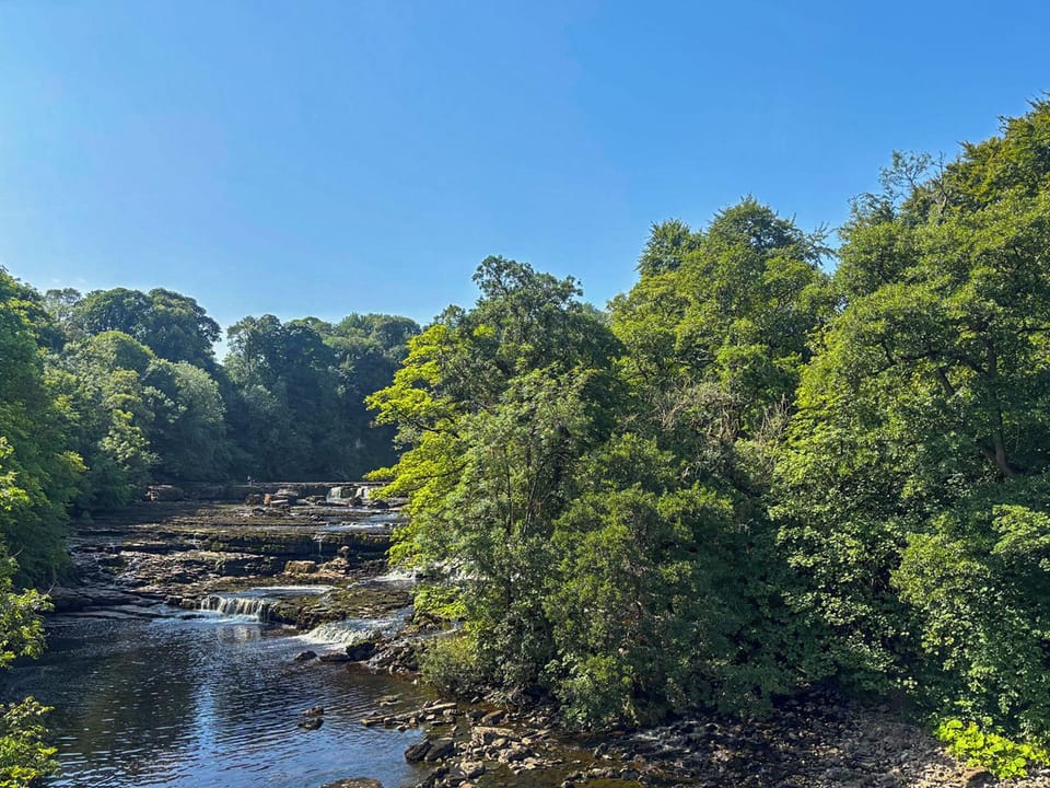 Surrounding area | Johnson Cottage, Carperby