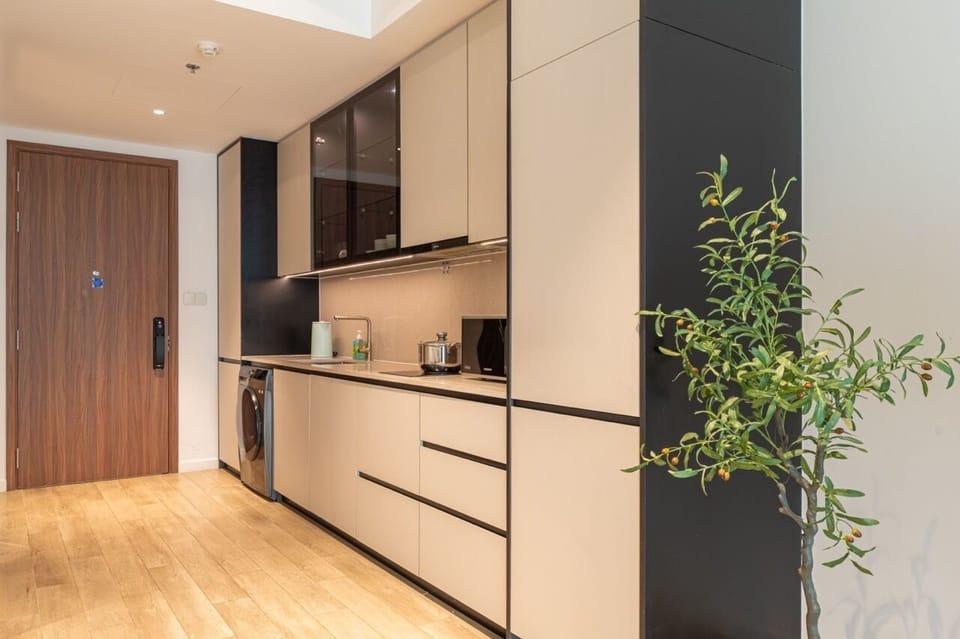 Deluxe Apartment, 1 Bedroom, City View | Private kitchen | Fridge, microwave, oven, stovetop