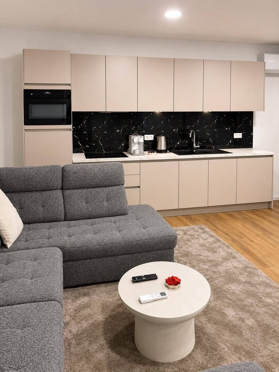 Basic Apartment | Living area | 55-inch Smart TV with satellite channels