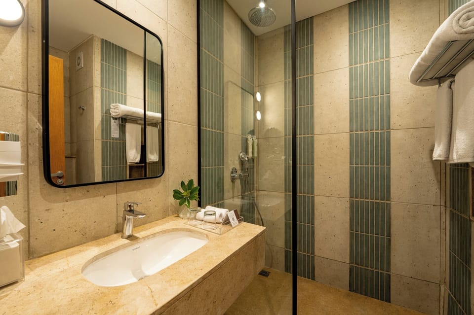 Shower, hair dryer, bidet, towels