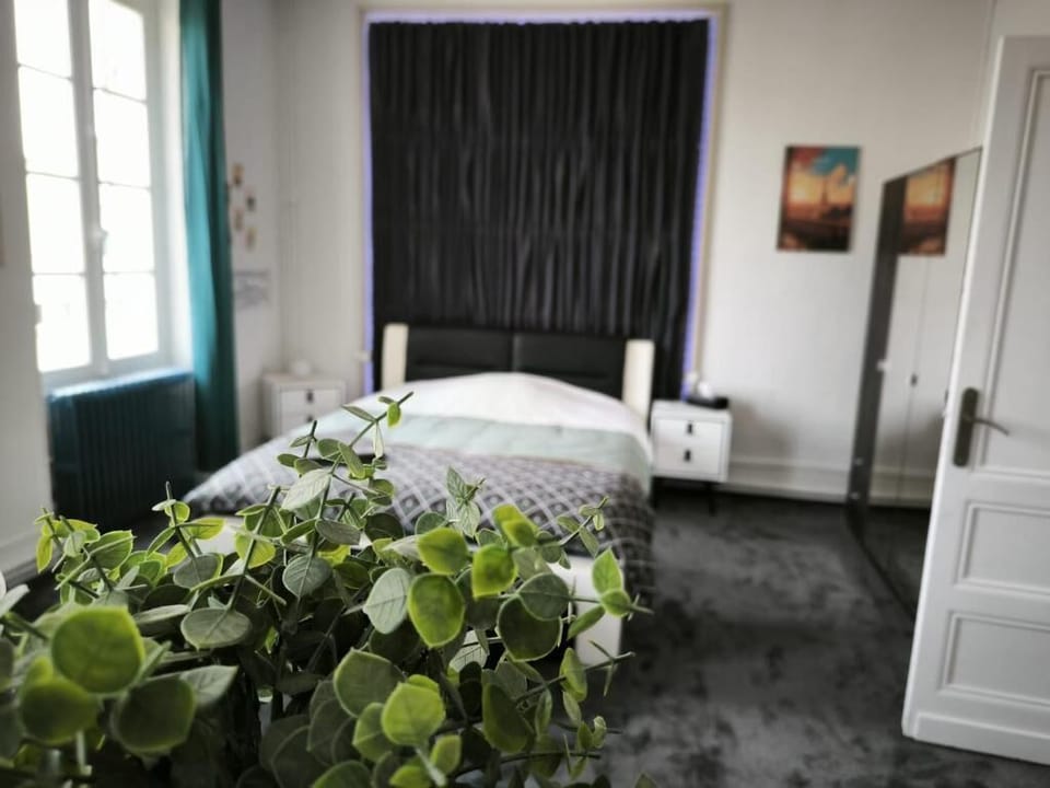 Superior Double Room, Balcony, Garden View | Laptop workspace, WiFi (free)