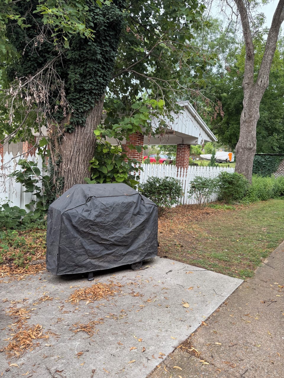 Property grounds