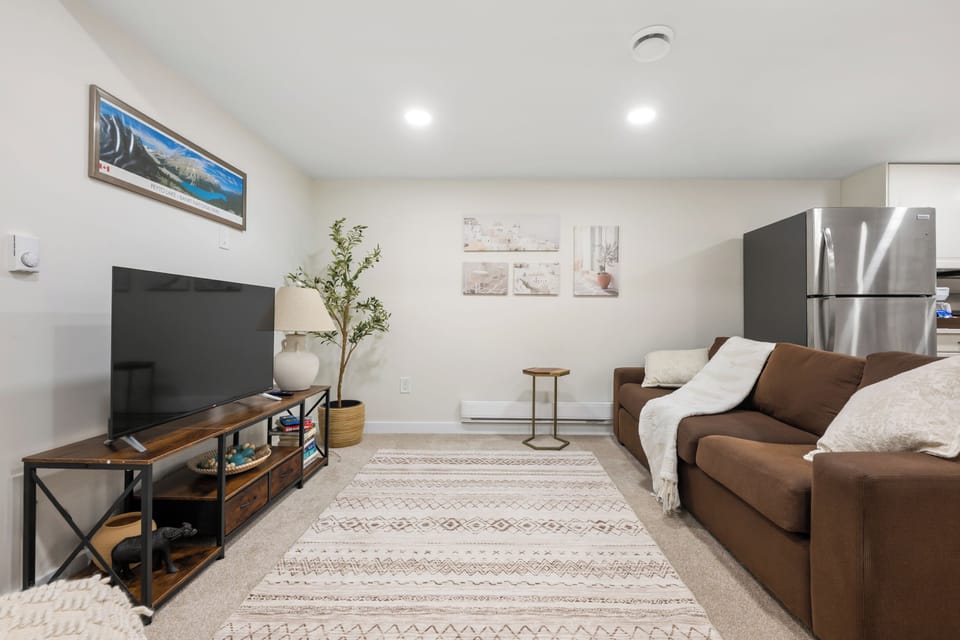 Cozy carpeted living room with flat-screen TV, patterned rug, and greenery