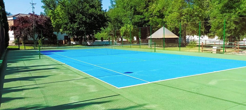 Sport court