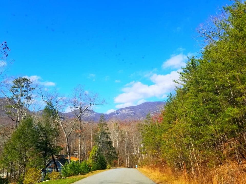 Hiking trails near the cabin