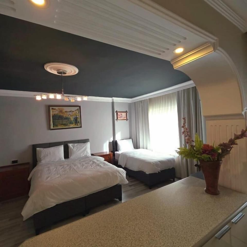 Desk, WiFi (free), bed sheets