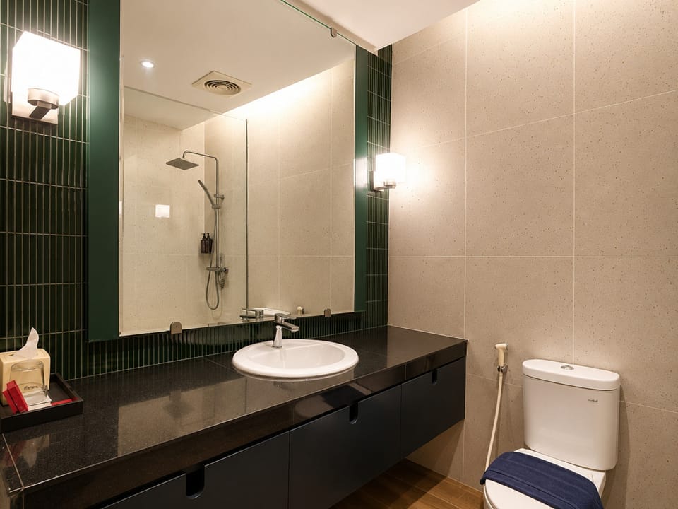 Shower, free toiletries, hair dryer (on request), towels