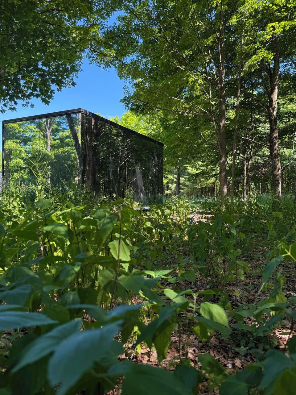An architectural marvel: the stunning mirrored exterior completely blends into the peaceful Catskills forest.