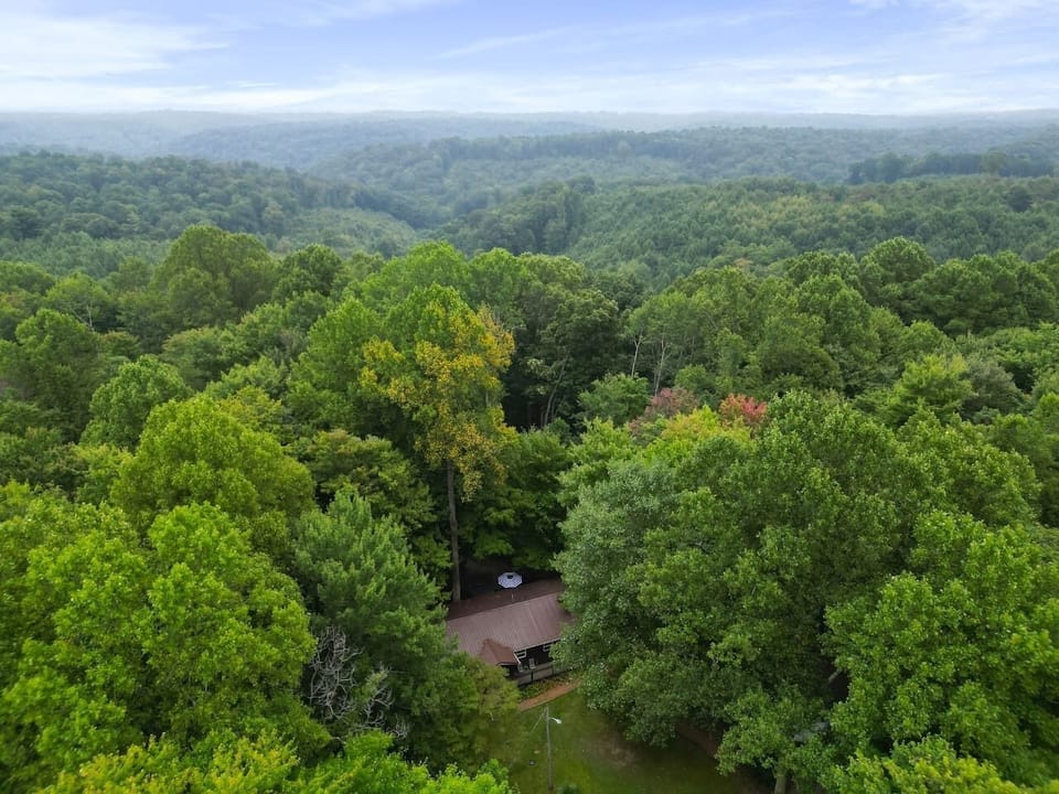 Aerial view showing the cabin surrounded by nature