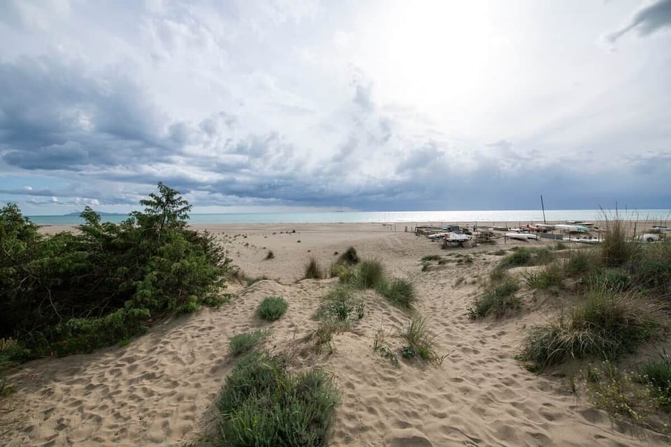 Casetta Montecristo è a soli 5 minuti a piedi dalla splendida spiaggia di Marina di Grosseto, dove potrete scegliere tra la spiaggia libera e gli stabilimenti balneari, sempre a pochi passi dalla casa.







