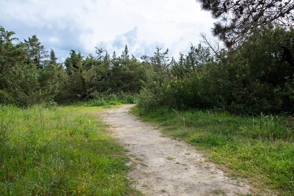 A pochi metri dalla casa troverete l'ingresso diretto alla spiaggia Libera oppure ad alcuni stabilimenti balneari. 