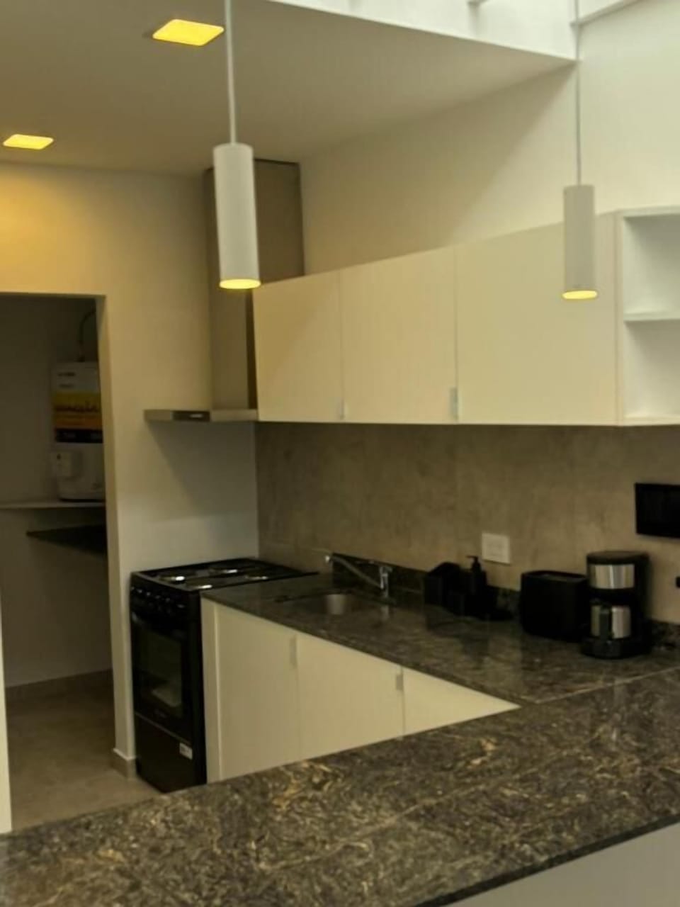 Deluxe Apartment | Private kitchen | Full-size fridge, microwave, oven, stovetop