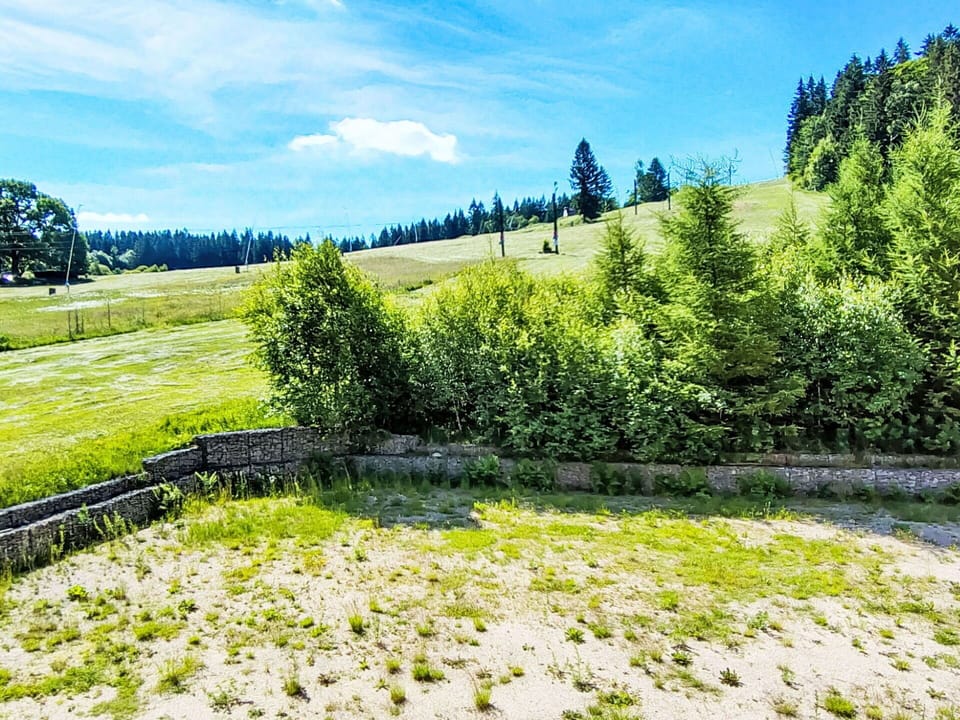 Green, Grass, Shrub, Grassland, Plain, Land Lot, Meadow, Larch, Pasture, Field