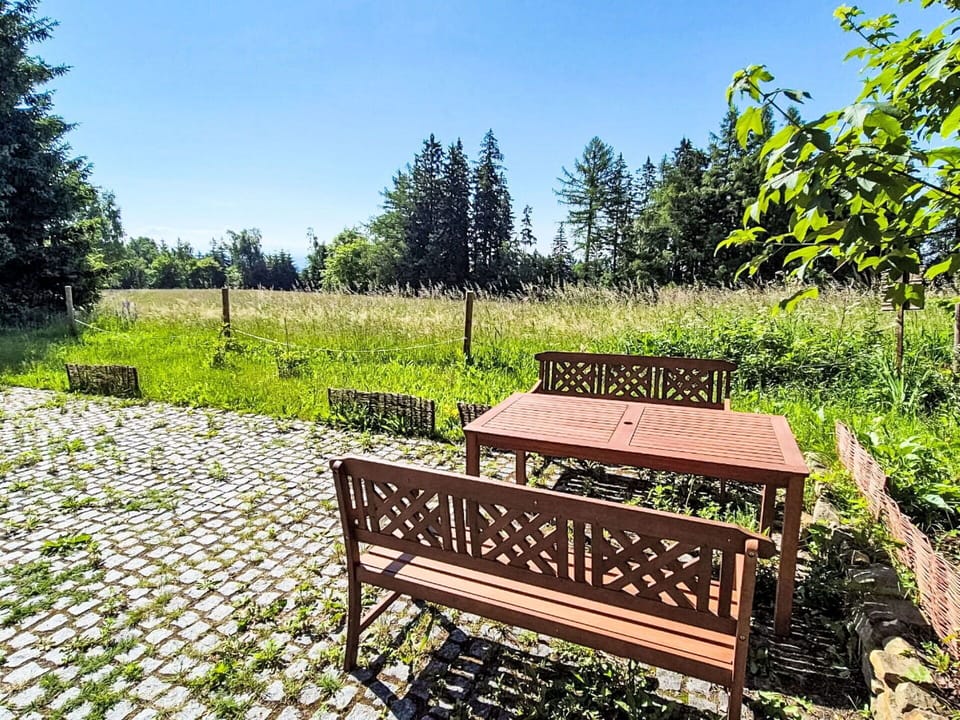 Shrub, Garden, Groundcover, Landscaping, Park, Lawn, Outdoor Furniture, Shade, Walkway, Yard