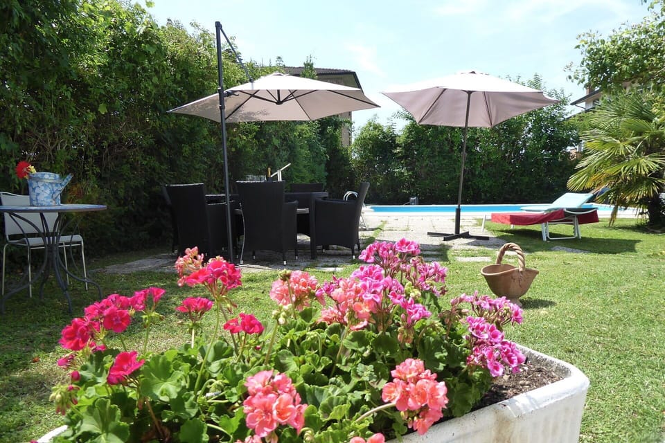Autumn, Garden, Spring, Summer