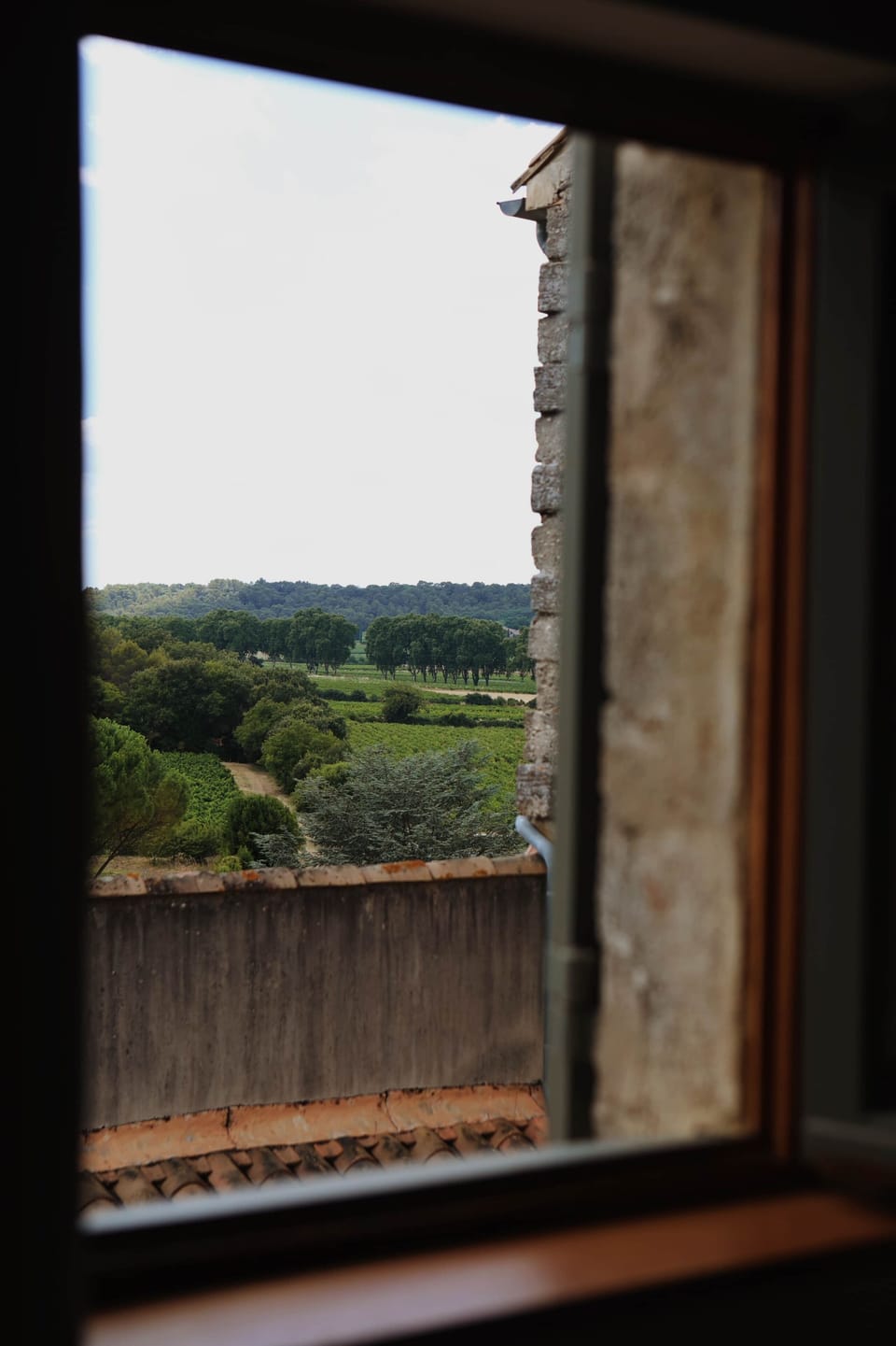 View