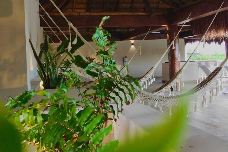 Basic Apartment | Interior