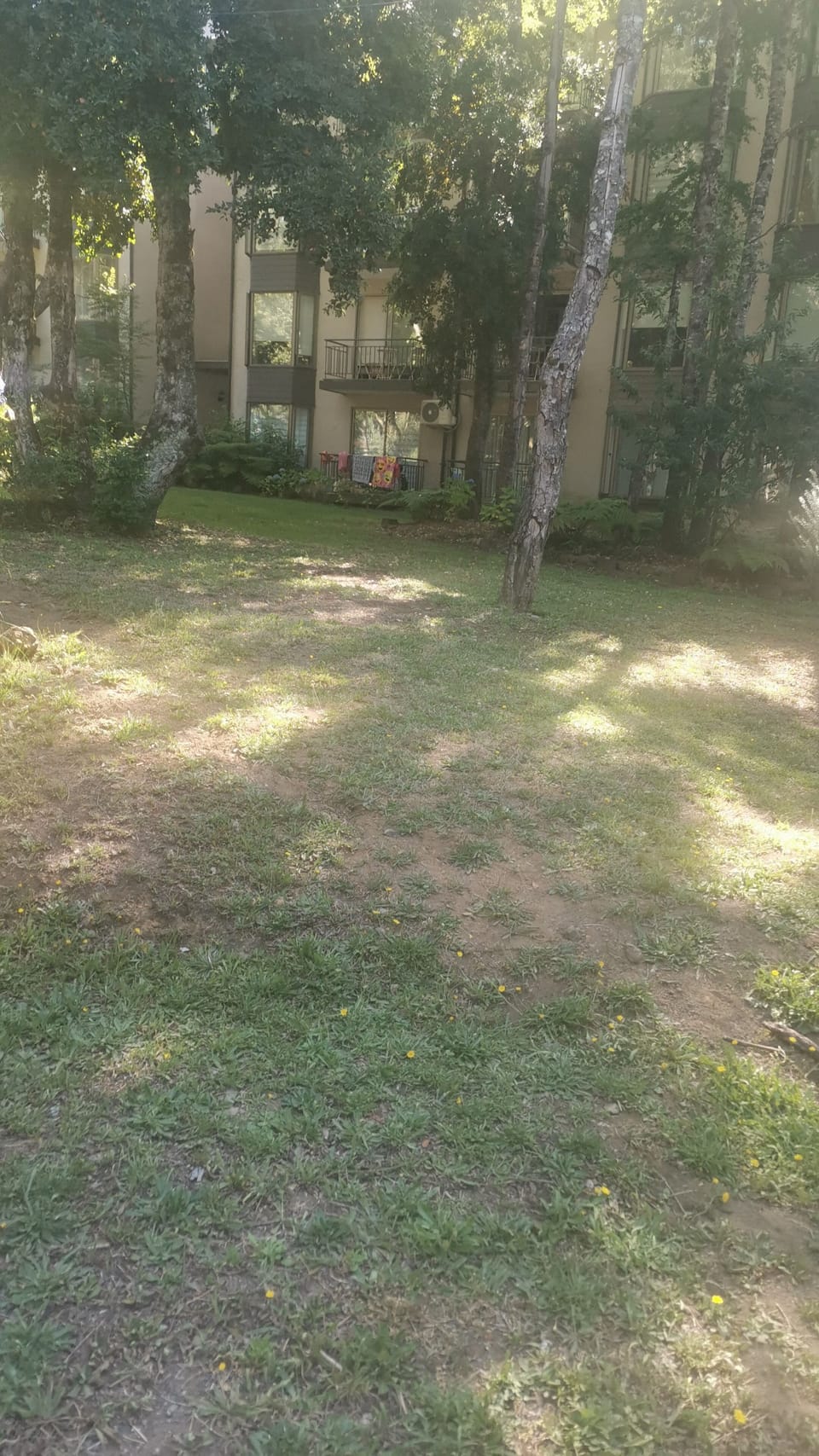Property grounds