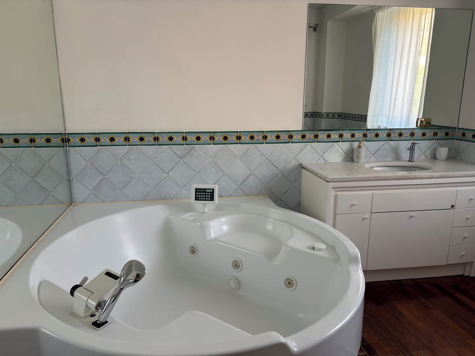 Deluxe Suite, City View | Bathroom | Shower, hair dryer, towels, soap