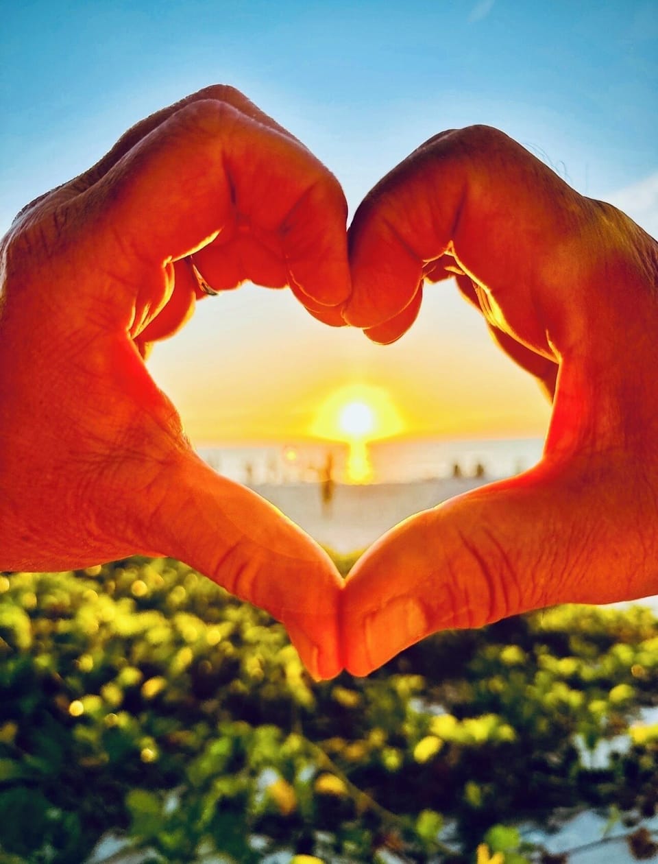 We just LOVE hosting you at Paws & Palms Retreat. 