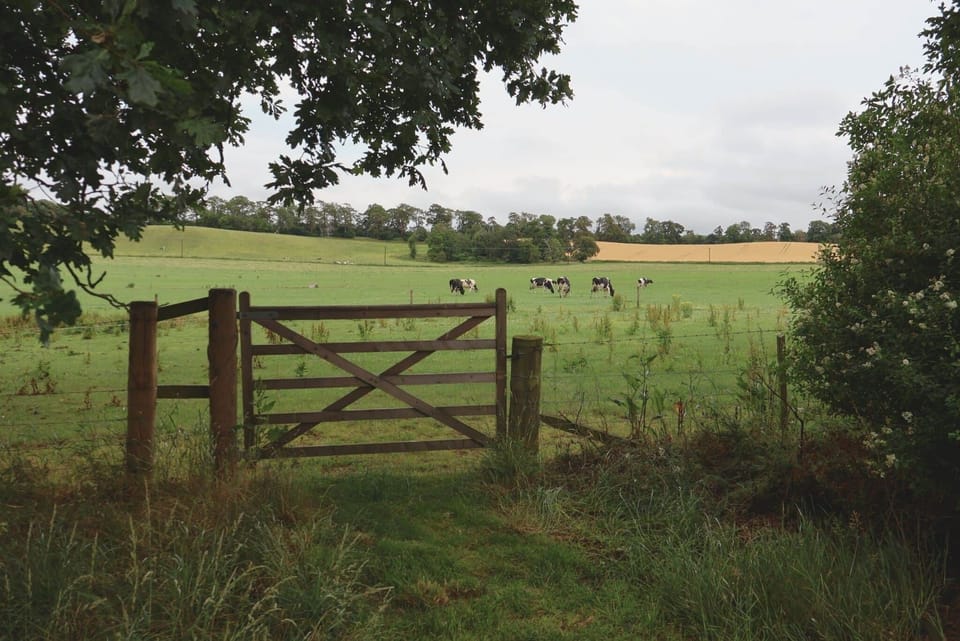 Surroundings