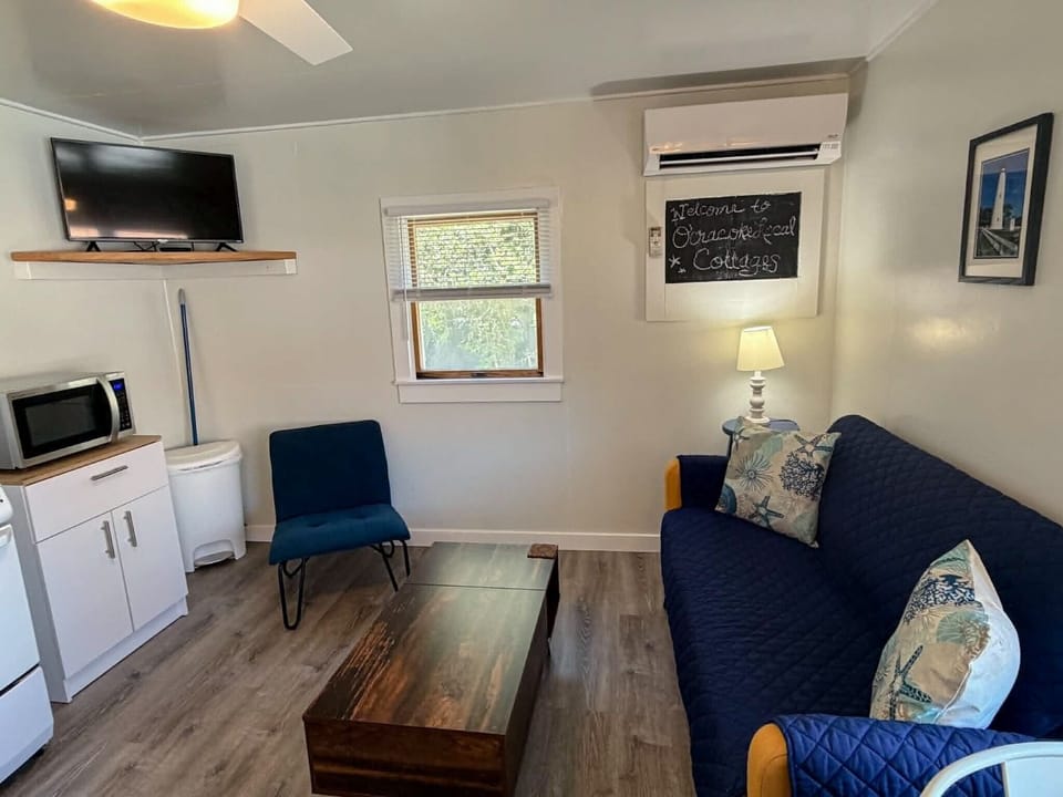Living Area (alternate view)