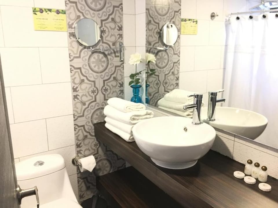 Hair dryer, towels, soap, shampoo