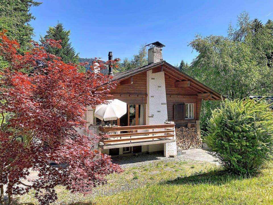 House, Cottage, Home, Yard, Larch, Log Cabin, Siding, Backyard, Evergreen